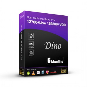6 Months Dino IPTV M3U France Arabic Belgium Spain Code World IPTV Subscription