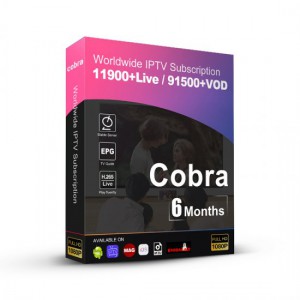 6 Months Cobra Stable Server M3U Arabic Europe IPTV Smarters Smart IPTV Code